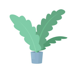A decorative houseplant growing in pot color flat isolated editable illustration. Home and office interior design