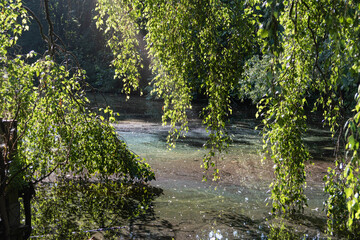 Sun shining through leaves of trees giving the lake below a rainbow effect across the water