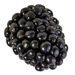 Blackberry isolated on white background with clipping path
