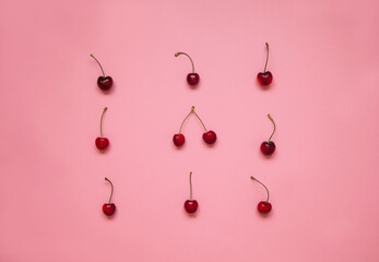 A pile of ripe cherries. Ripe cherries background. Close up of wild cherries on the pink background.