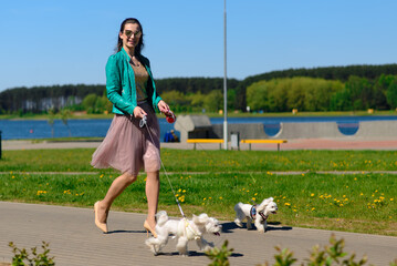 Young woman with her dog. Puppy white dog is running with it's owner. Concept about friendship, animal and freedom.