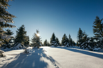 A man riding skis down a snow covered slope