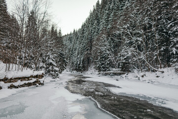 A man riding skis down a snow covered slope