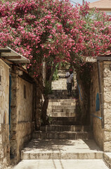 Obraz premium Lebanon