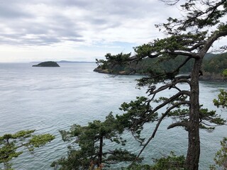 Water, Tree, Island