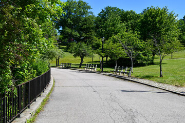 Fototapeta na wymiar Winding park road with benches
