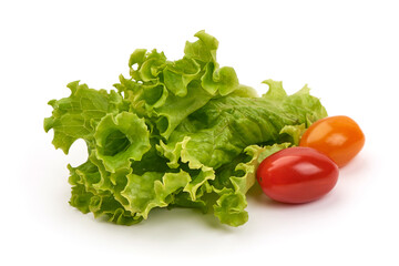 Lettuce Salad leaf, isolated on white background