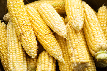 Fresh juicy sweet corn closeup