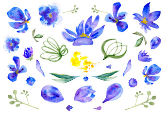 Watercolor set of blue flowers and paint splashes..