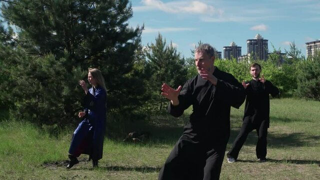 master and students of Wushu practice kung fu tai Chi in nature in the Park