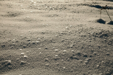 A person standing on a dry grass field