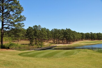 Green grass landscape with a small lake surrounded by a pine tree wooded area - 357060669