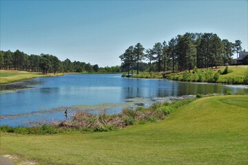 Green grass landscape with a small lake surrounded by a pine tree wooded area - 357060852