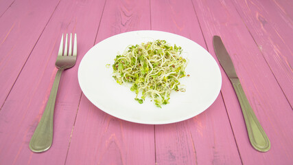 micro green, healthy food, healthy food, vegan, diet food, healthy food, vitamins, sprouts,...