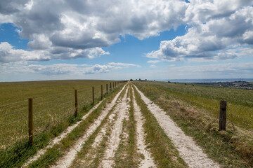 A pathway in the South Downs