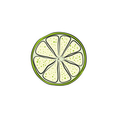 Vector abstract illustration of a lime. An isolated fruitand slice for your design of postcard, menu, banner, poster, advertisement and other. sketch and hand drawn.