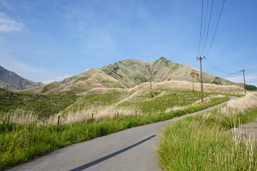 Fototapeta na wymiar 阿蘇の道　熊本県阿蘇