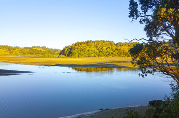 During Low Tide, Landscape View of Puhoi River Bank Wenderholm Auckland New Zealand; Regional Park

