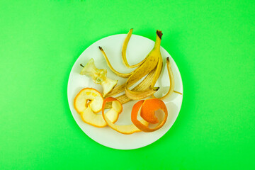 plate with food waste, garbage and food leftovers, sorting and processing, recycling, ecology...