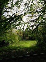 Naklejka premium Natur