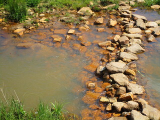 river in the forest