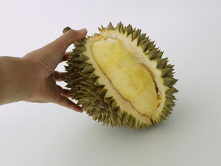One durian it was partially peeled. With hand grasping its thorns. One lobe has three grains....