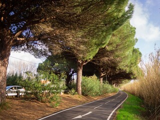 The scenic bike track that goes along the highway in Saint-Aygulf, France