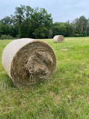 Strohballen auf einem Feld am Waldrand