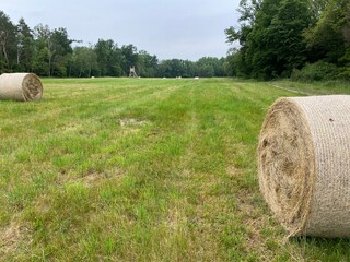 Strohballen auf einem Feld am Waldrand