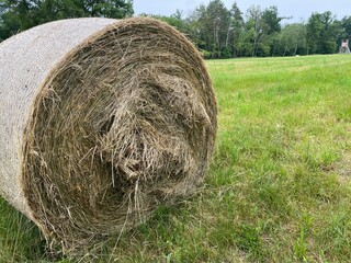 Strohballen auf einem Feld am Waldrand