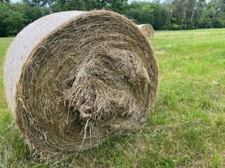Strohballen auf einem Feld am Waldrand