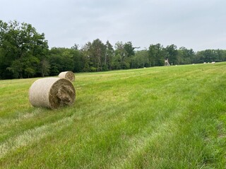 Strohballen auf einem Feld am Waldrand