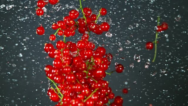 Super Slow Motion Shot of Red Currants and Water Side Collision on Grey Background at 1000fps.