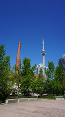 toronto forest