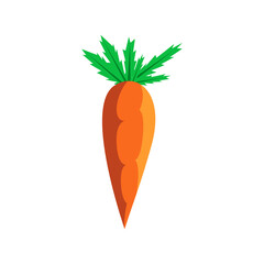 isolated flat carrot illustration, carrot icon, vector carrot icon