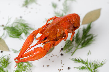 Fresh brewed red crayfish with spices and spice. Food photography background.