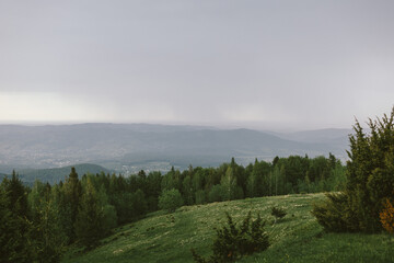 A sign on a grassy hill