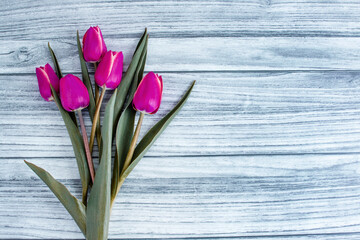 Background with spring flowers and place for text. Pink tulips on the background.