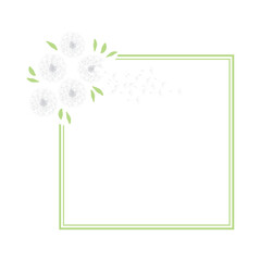 dandelions frame on white background

