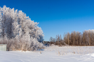 Snowy field with traces, trees at winter