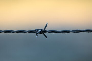 Close up image of barbed wire fence on frosty winter morning