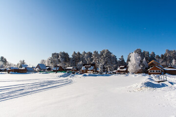 Snowy field with traces, trees at winter