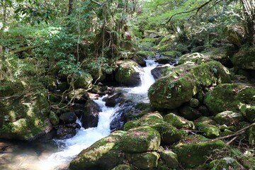  玖珠町  清水瀑園の清流