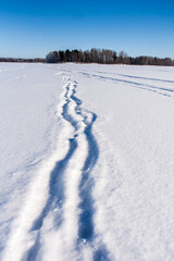 Fototapeta na wymiar Snowy field with traces, trees at winter