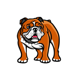 Cartoon English bulldog - vector illustration