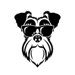 black and white schnauzer dog wearing sunglasses - vector illustration - obrazy, fototapety, plakaty