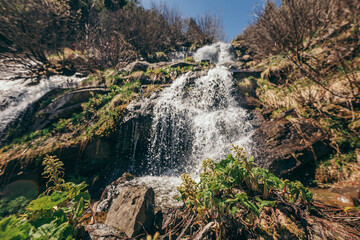 Obraz premium A large waterfall in a forest