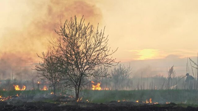 in field burns dry grass, in the air, smoke and soot.
