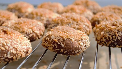 Homemade ginger-nut biscuits with coconut at the top close-up, side view. And other cookies (focus is blurry) on the metal grill