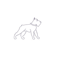 Fototapeta premium Funny line style icon of mittelschnauzer dog for different design.